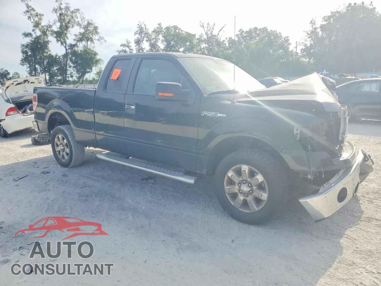 FORD F150 2013 - 1FTFX1CF2DFA11645