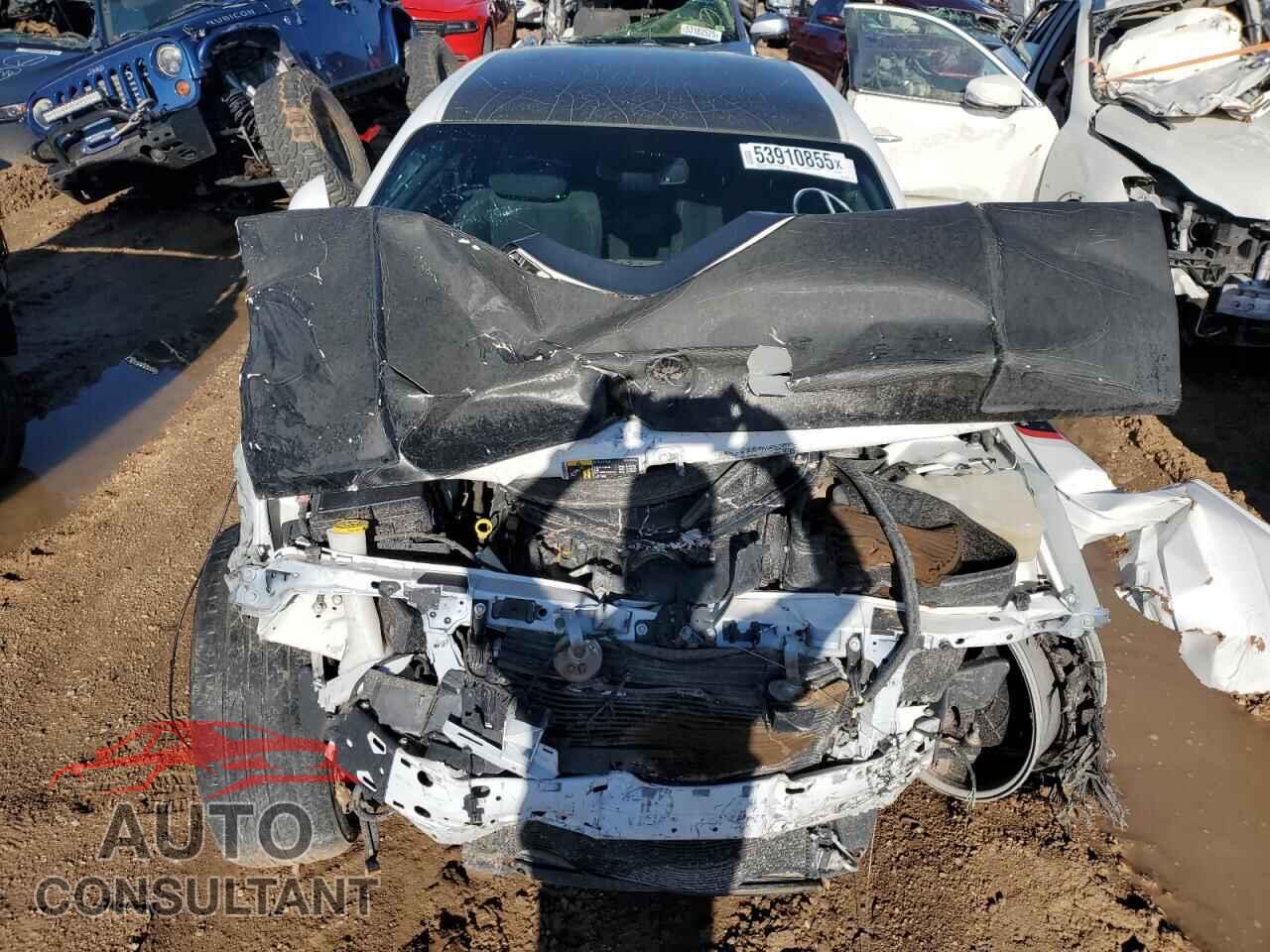 DODGE CHALLENGER 2019 - 2C3CDZBT6KH521580