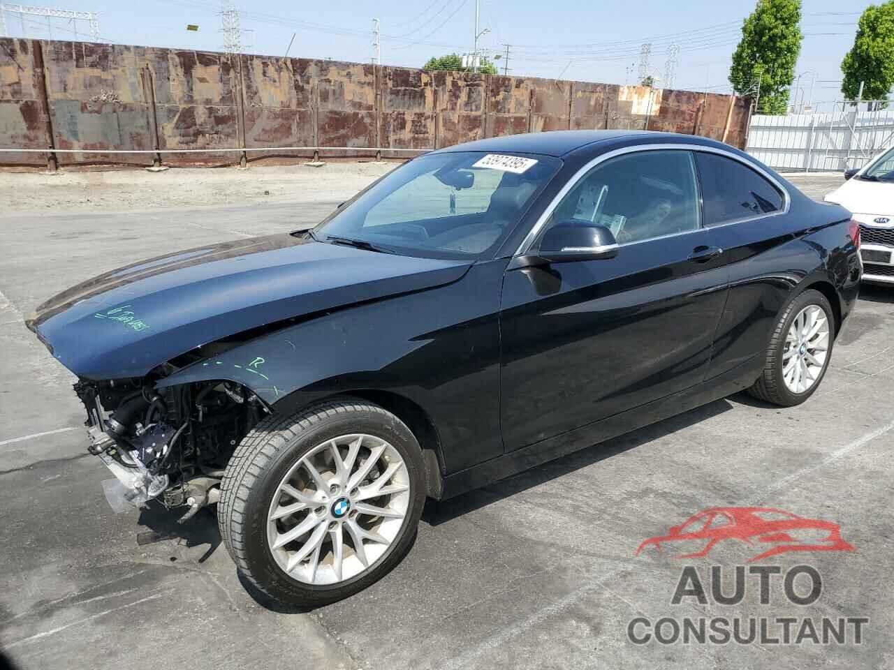BMW 2 SERIES 2016 - WBA1F9C56GV544978