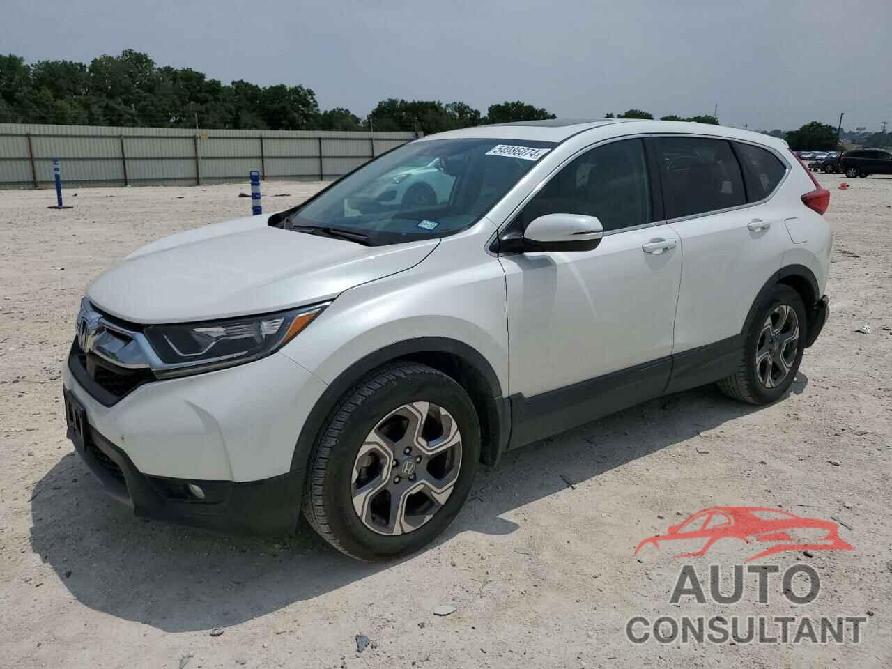 HONDA CRV 2019 - 5J6RW1H81KA028094