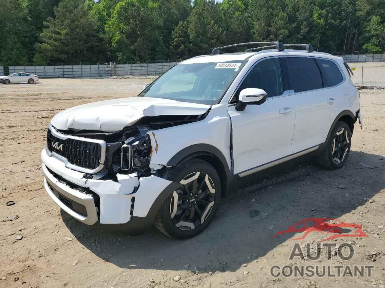 KIA TELLURIDE 2024 - 5XYP34GC9RG441291