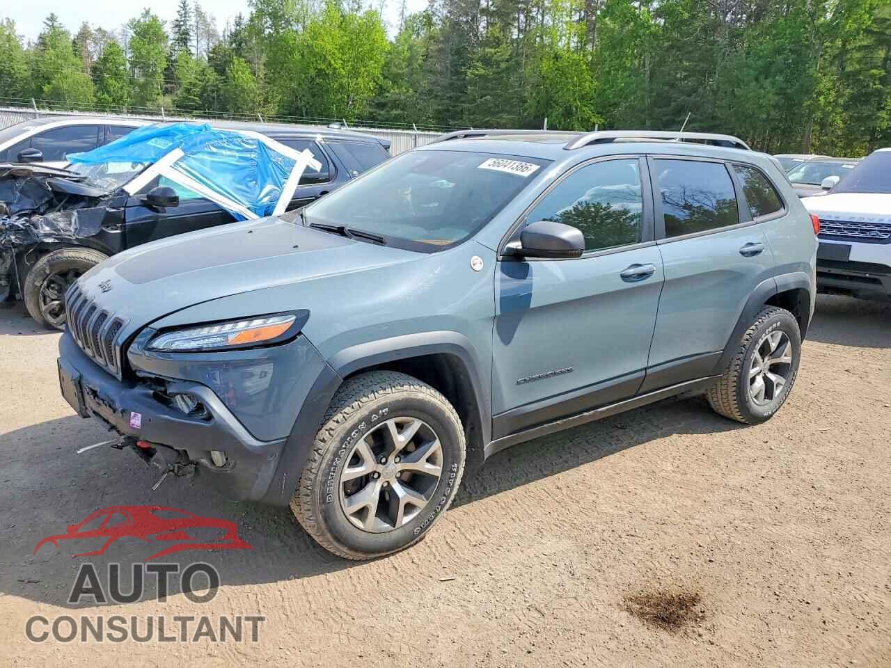 JEEP CHEROKEE 2014 - 1C4PJMBS2EW134501