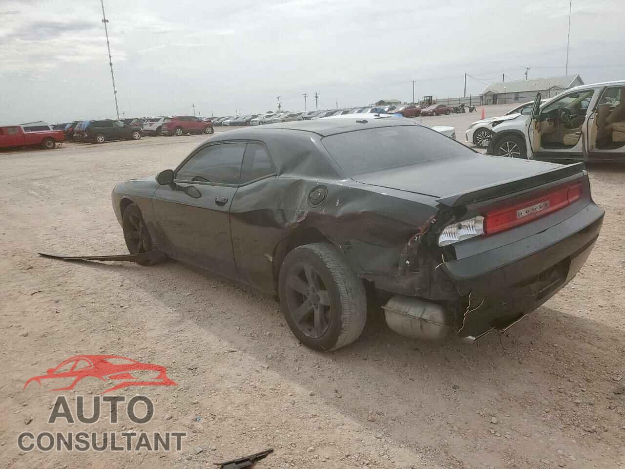 DODGE CHALLENGER 2013 - 2C3CDYBT6DH554284