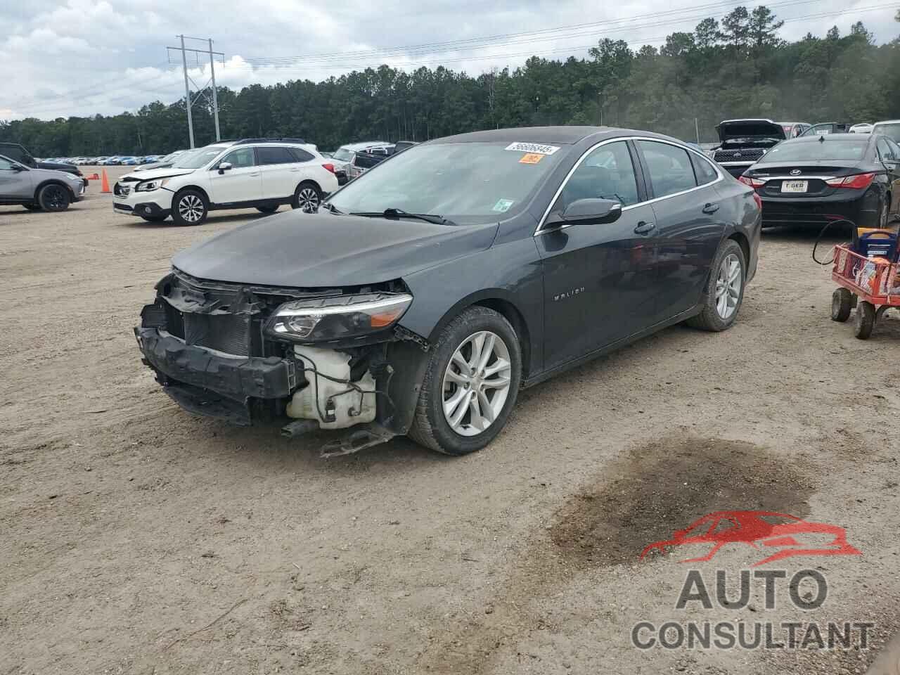 CHEVROLET MALIBU 2017 - 1G1ZE5ST3HF171579