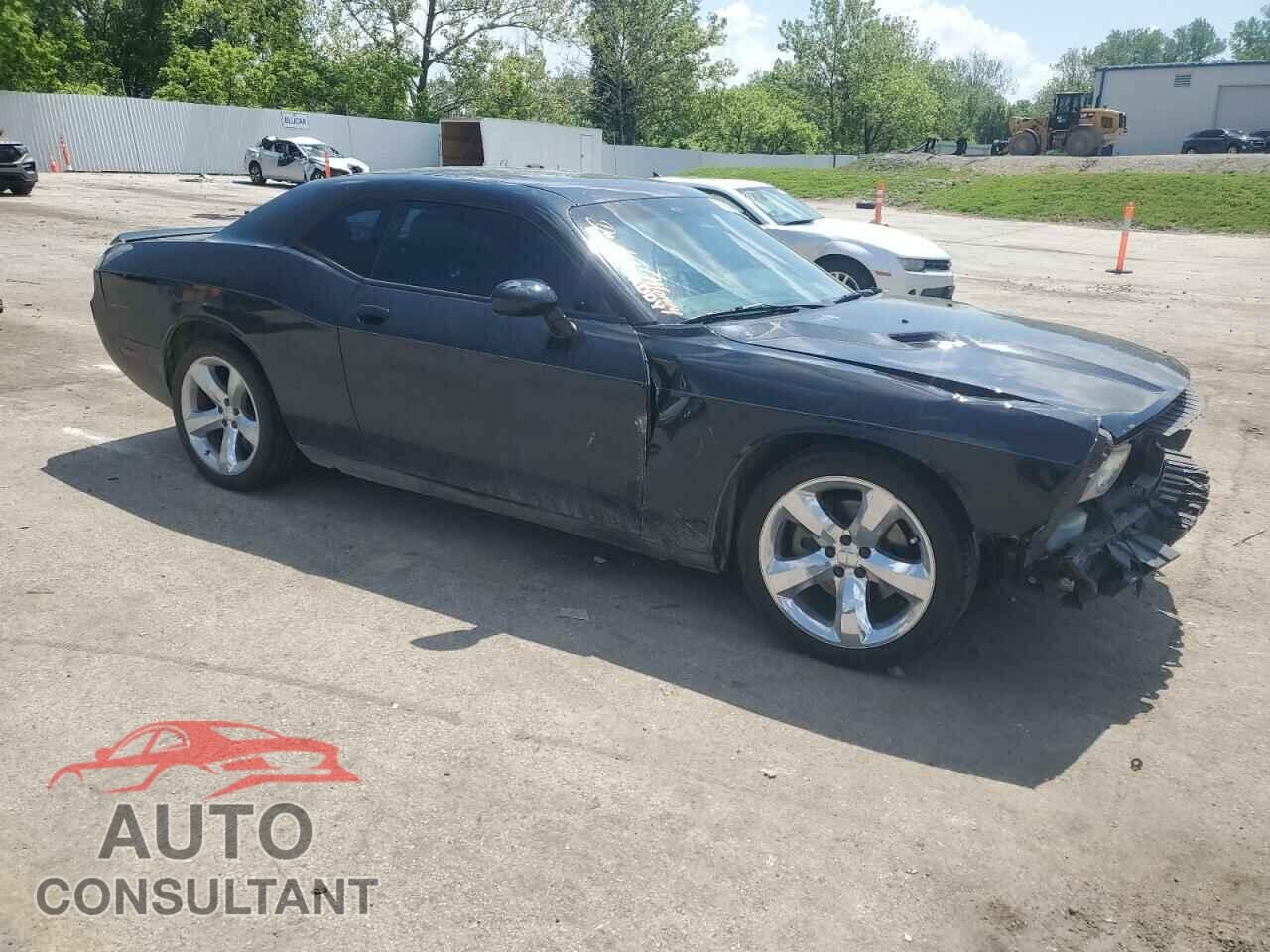 DODGE CHALLENGER 2013 - 2C3CDYBTXDH601235