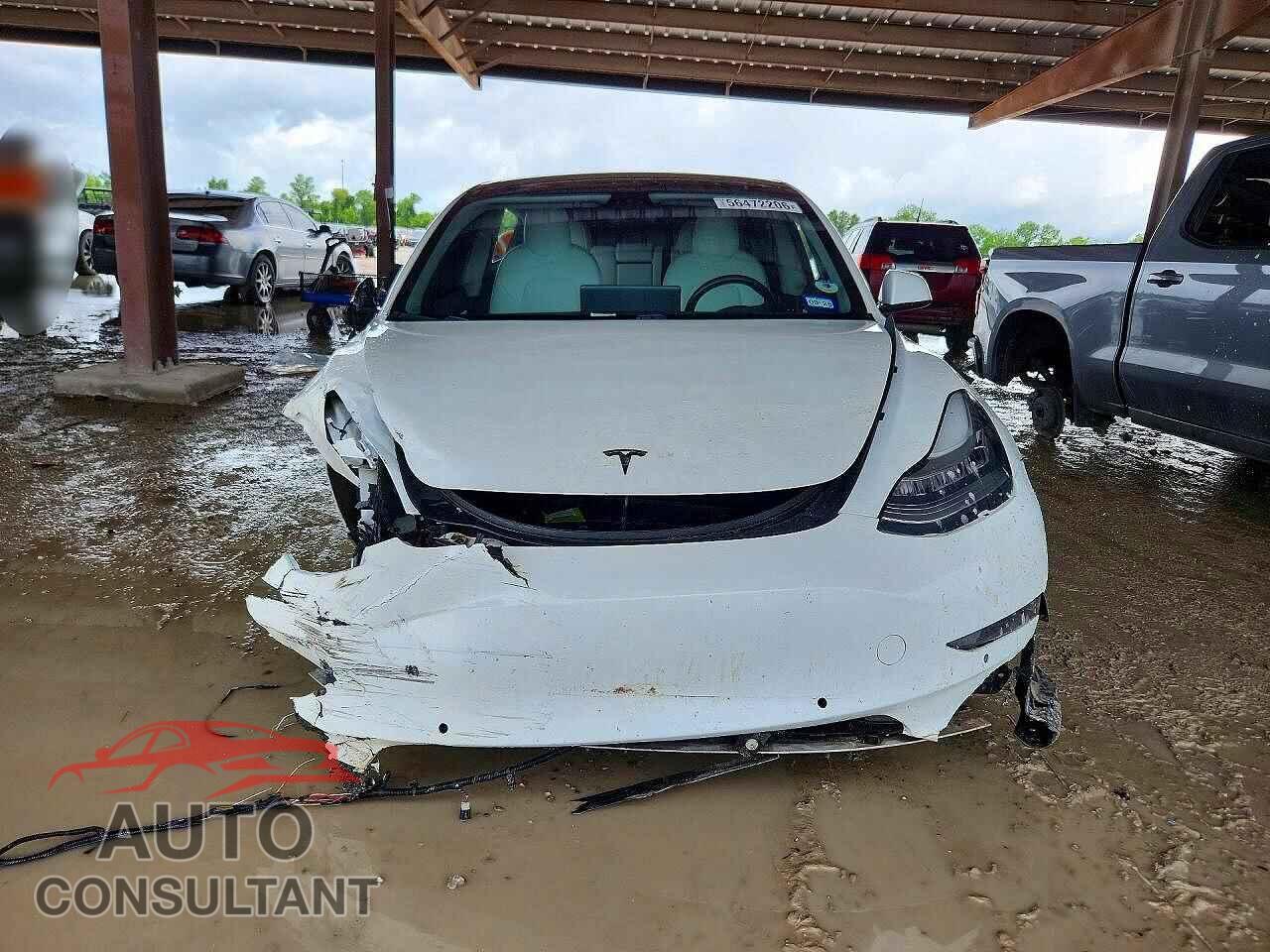 TESLA MODEL 3 2019 - 5YJ3E1EB3KF469585