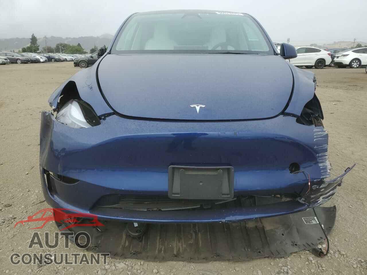 TESLA MODEL Y 2024 - 7SAYGDED3RF118546