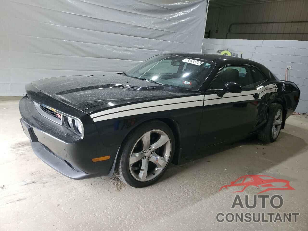 DODGE CHALLENGER 2013 - 2C3CDYBT2DH705363