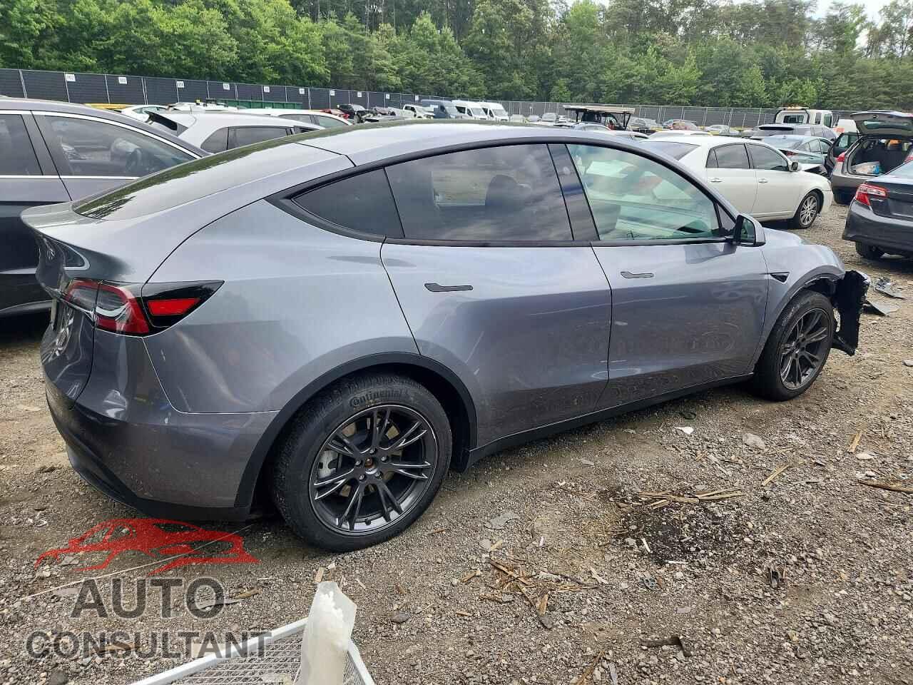TESLA MODEL Y 2024 - 7SAYGDED0RF201058