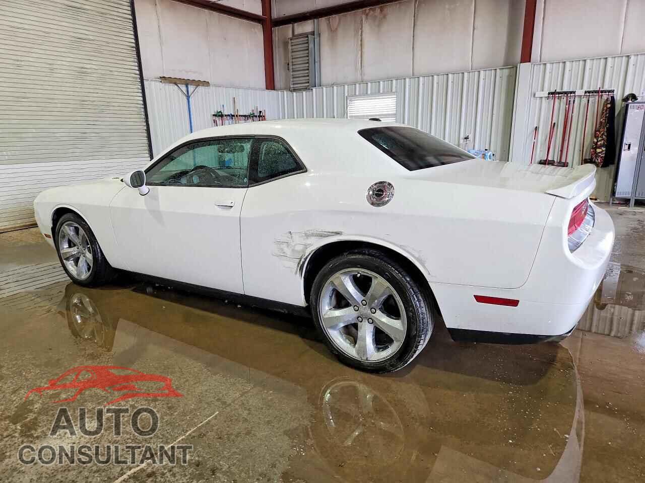 DODGE CHALLENGER 2013 - 2C3CDYBTXDH554269