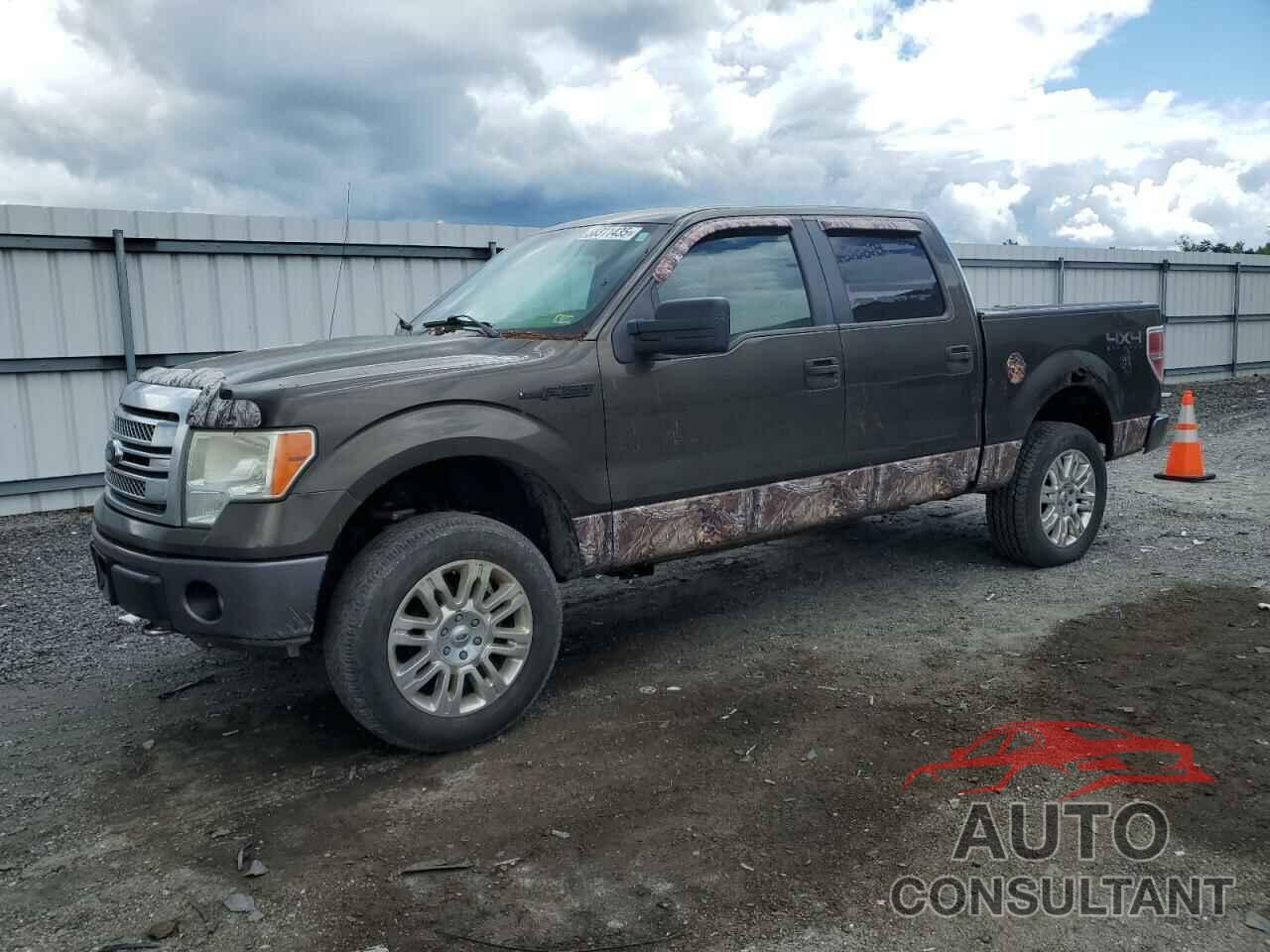 FORD F-150 2009 - 1FTRW14849FA55430