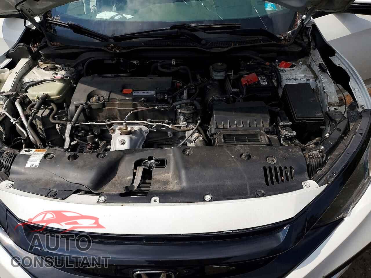 HONDA CIVIC 2019 - 2HGFC2F85KH598449
