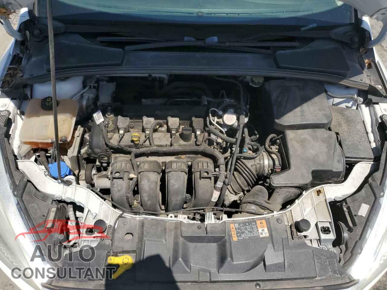 FORD FOCUS 2016 - 1FADP3F29GL339099