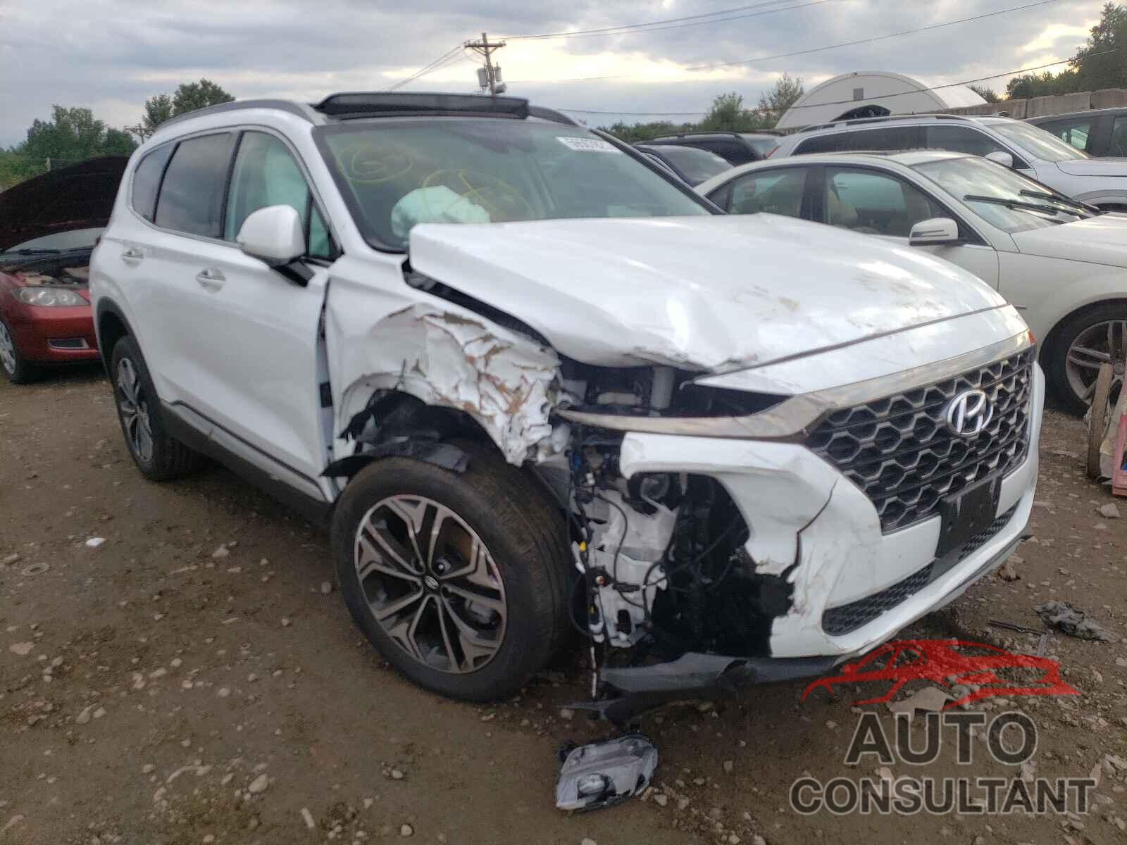 HYUNDAI SANTA FE 2020 - 5NMS5CAA2LH264716