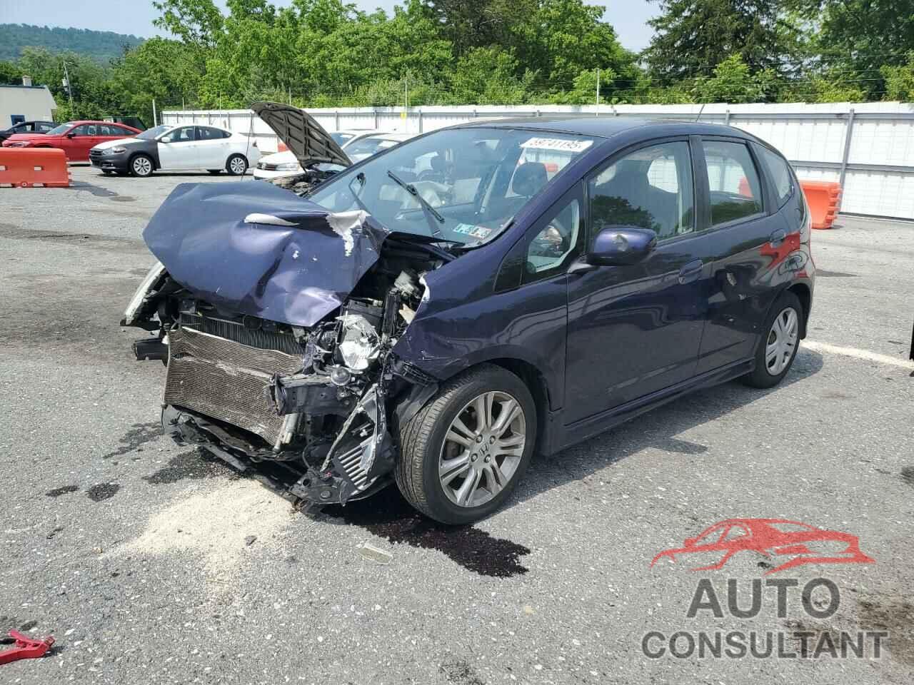 HONDA FIT 2009 - JHMGE88489S023368
