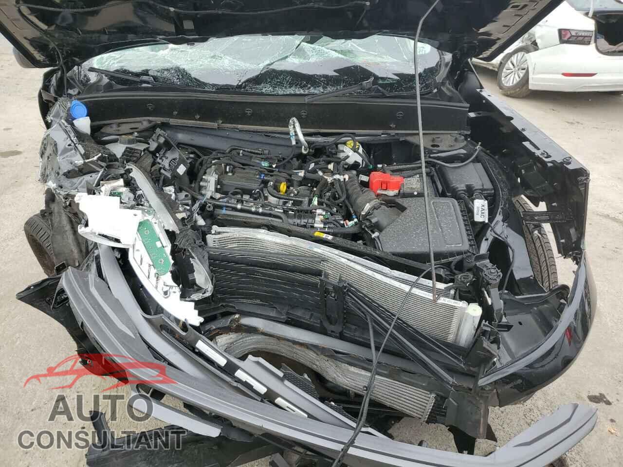 FORD BRONCO 2023 - 3FMCR9B61PRD40546