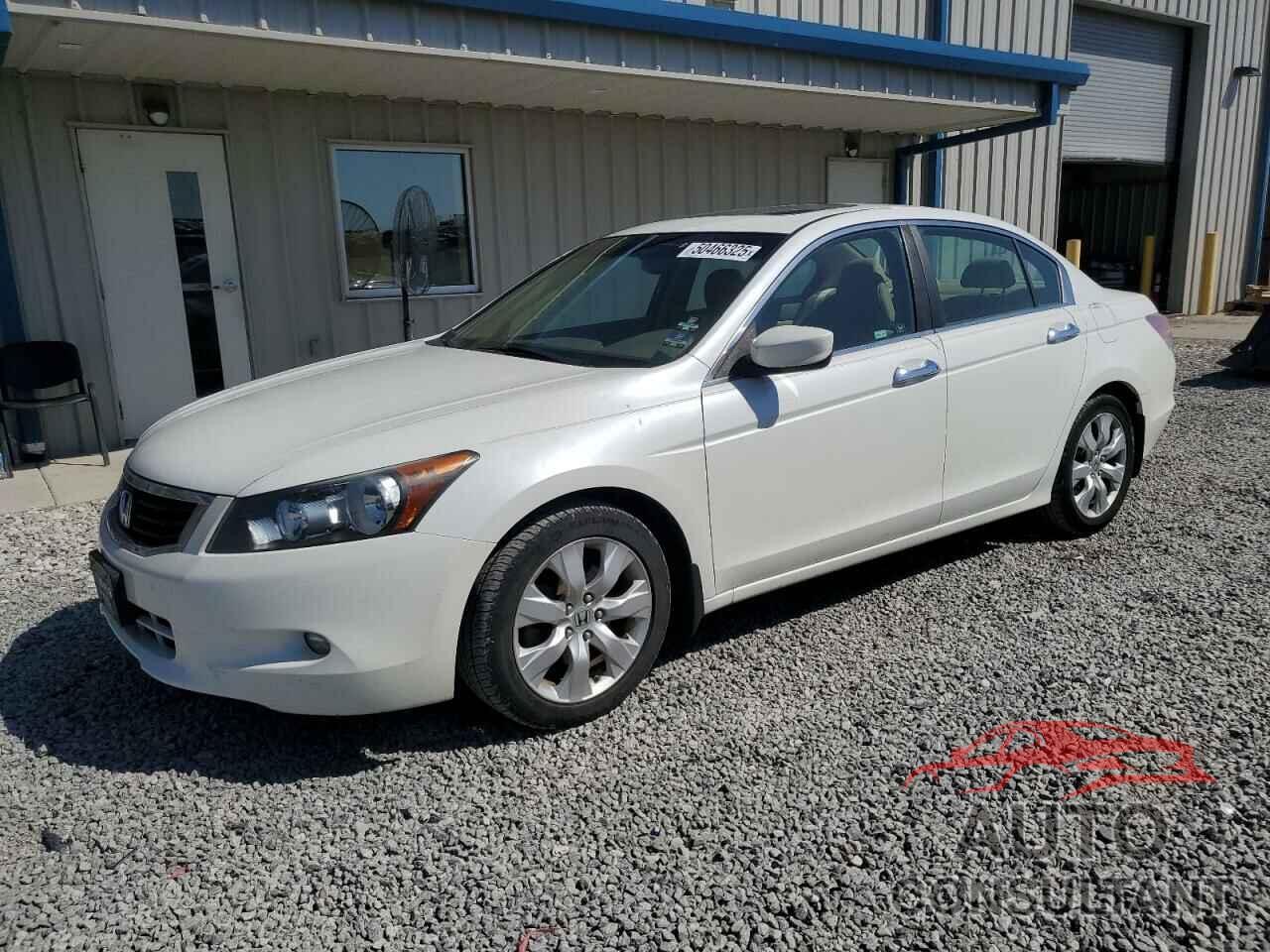 HONDA ACCORD 2010 - 5KBCP3F82AB013554