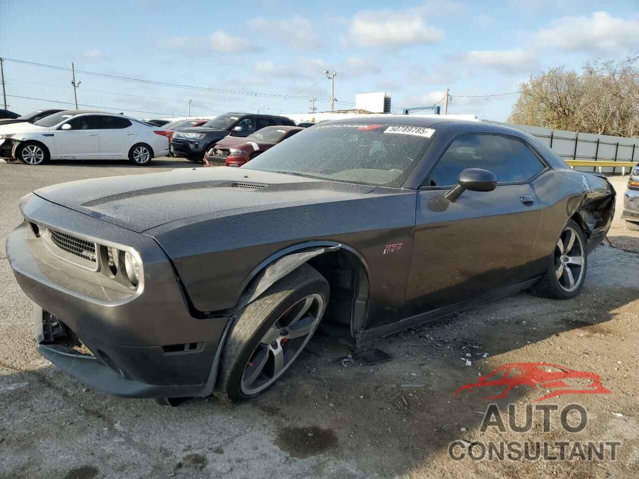 DODGE CHALLENGER 2013 - 2C3CDYCJ6DH501341