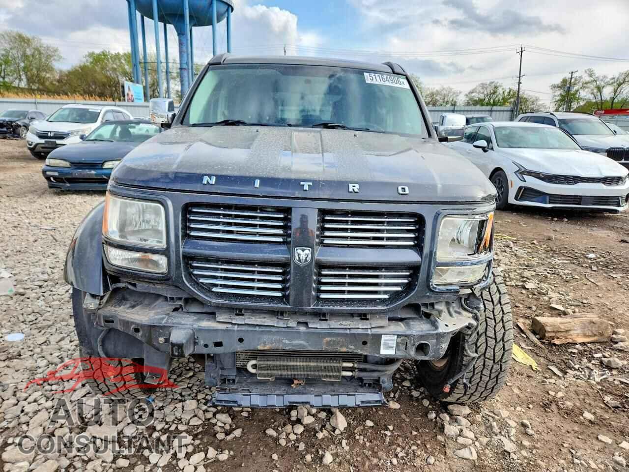 DODGE NITRO 2011 - 1D4PU5GK3BW564977