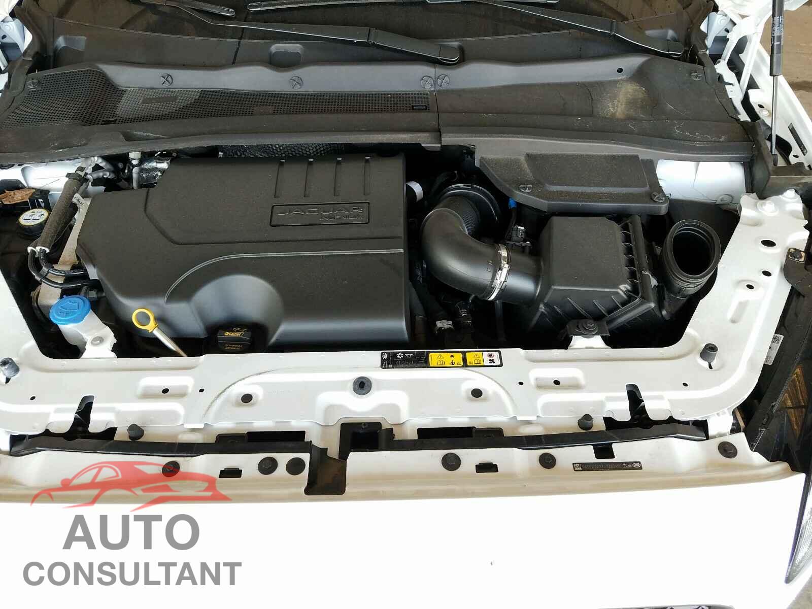 JAGUAR E-PACE 2020 - SADFK2FX7L1Z83492