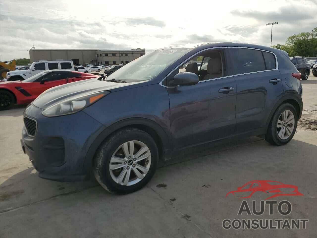 KIA SPORTAGE 2017 - KNDPM3AC9H7117737