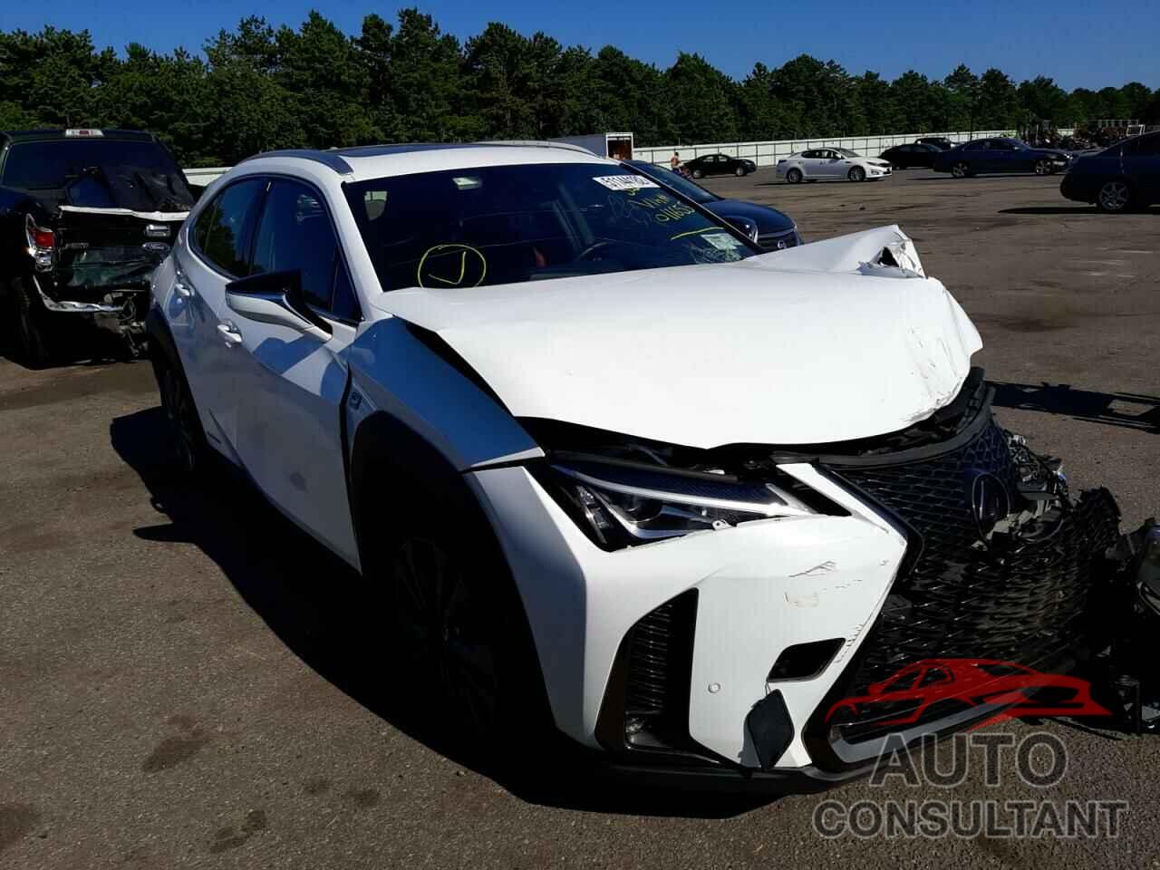 LEXUS UX 250H 2019 - JTHU9JBH6K2011655