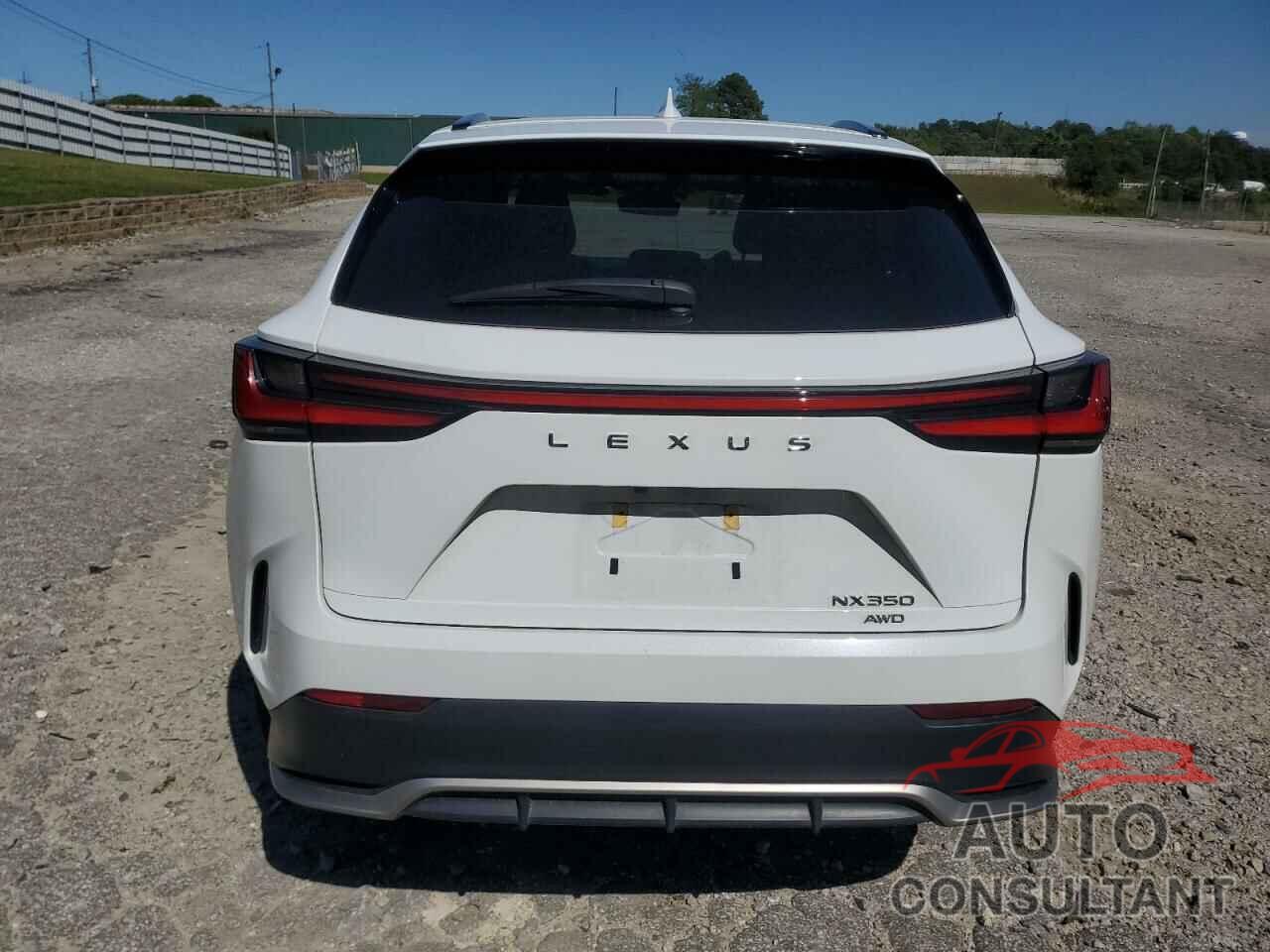 LEXUS NX 350 LUX 2024 - 2T2KGCEZ5RC036715
