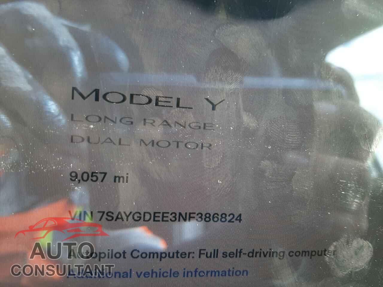 TESLA MODEL Y 2022 - 7SAYGDEE3NF386824