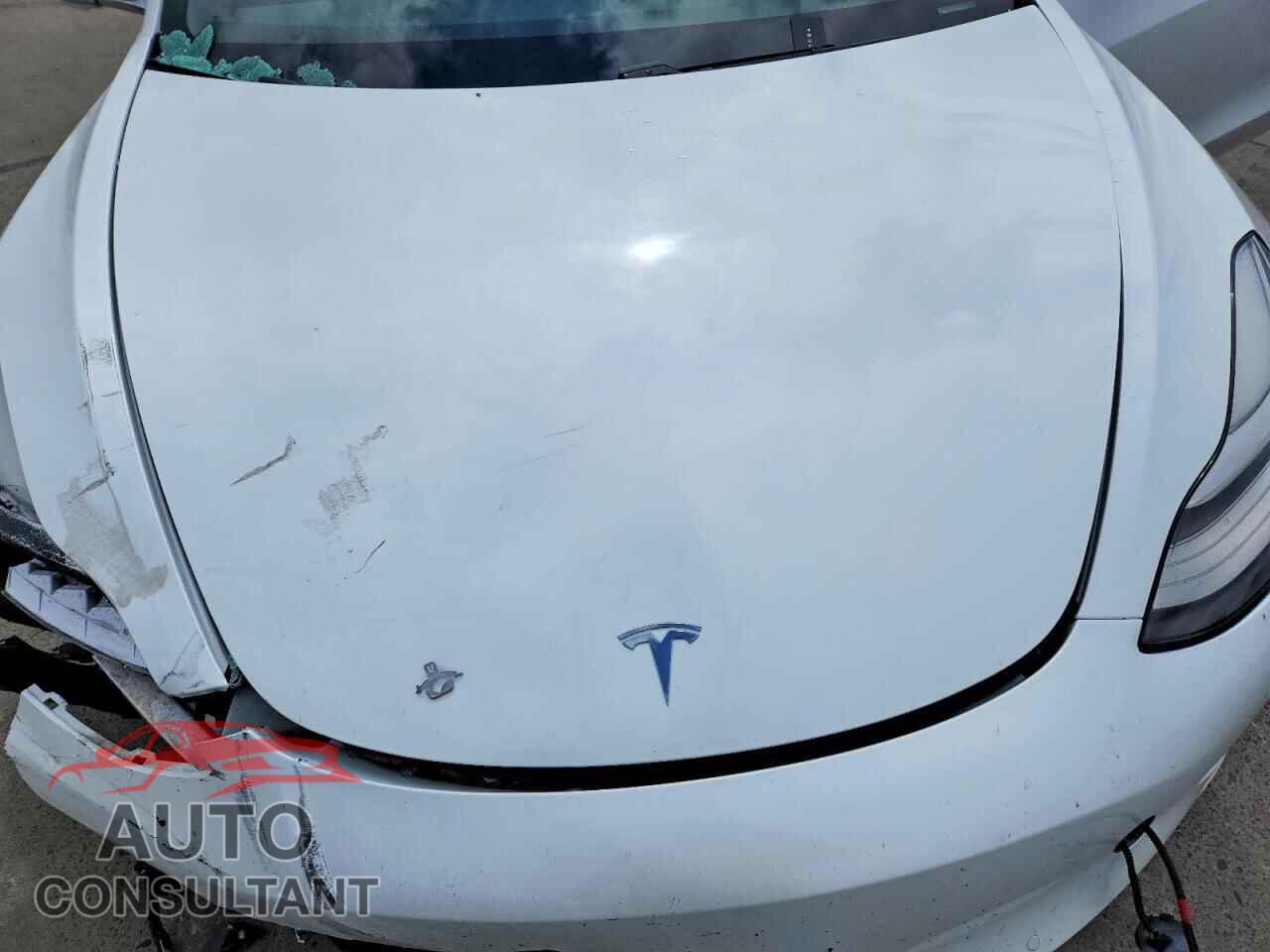 TESLA MODEL 3 2020 - 5YJ3E1EA3LF804577