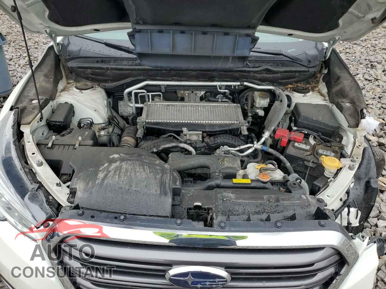 SUBARU ASCENT 2020 - 4S4WMAPD1L3475233