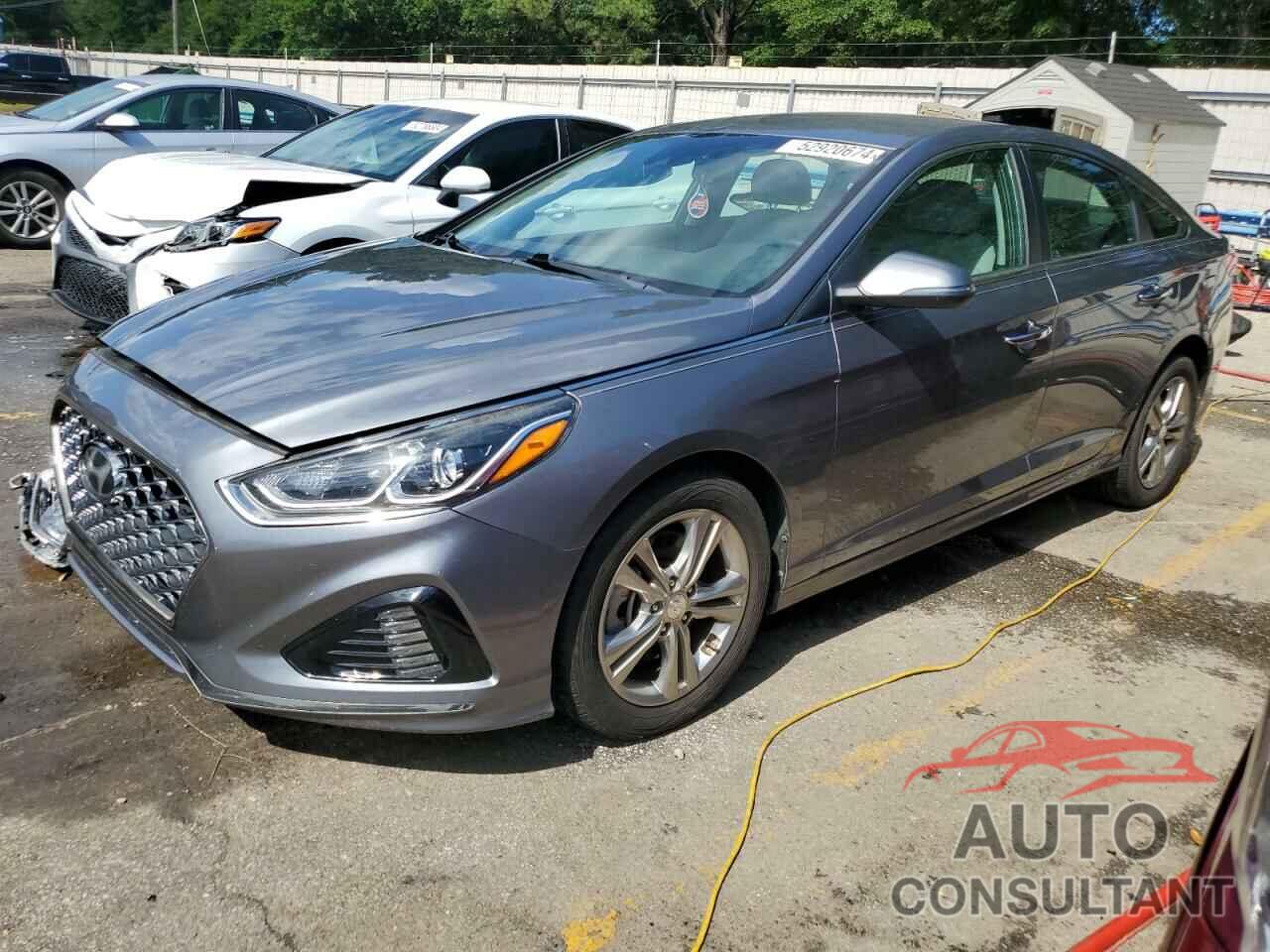 HYUNDAI SONATA 2019 - 5NPE34AF4KH771011