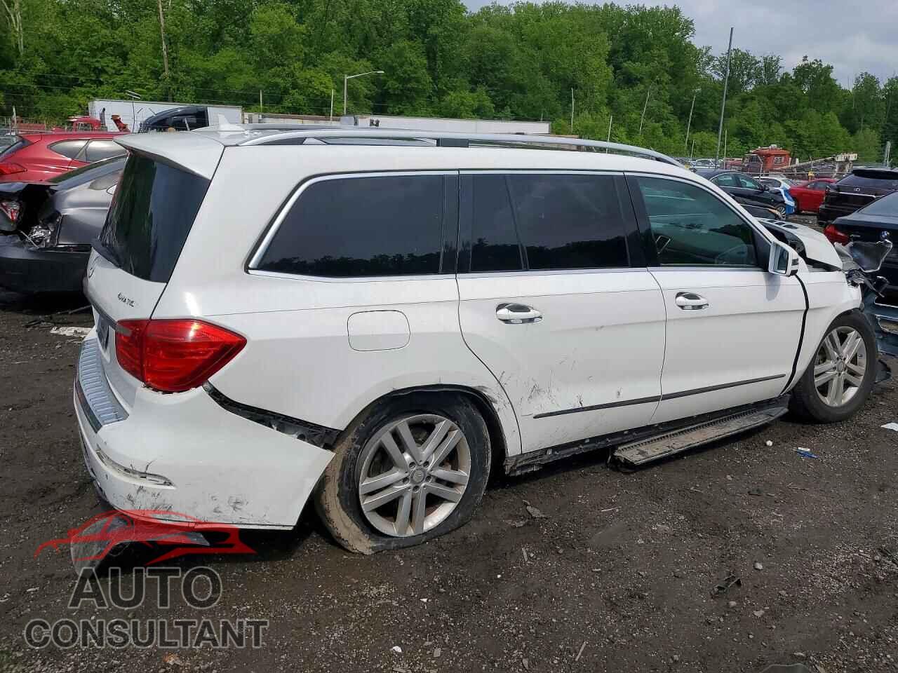 MERCEDES-BENZ GL-CLASS 2014 - 4JGDF7CE6EA311056