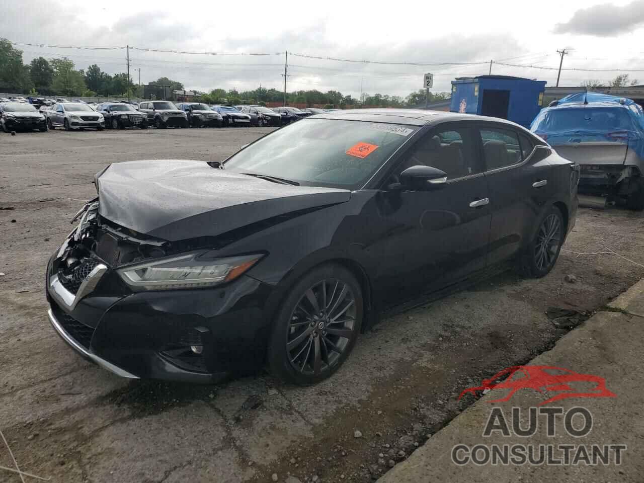 NISSAN MAXIMA 2019 - 1N4AA6AV6KC364963