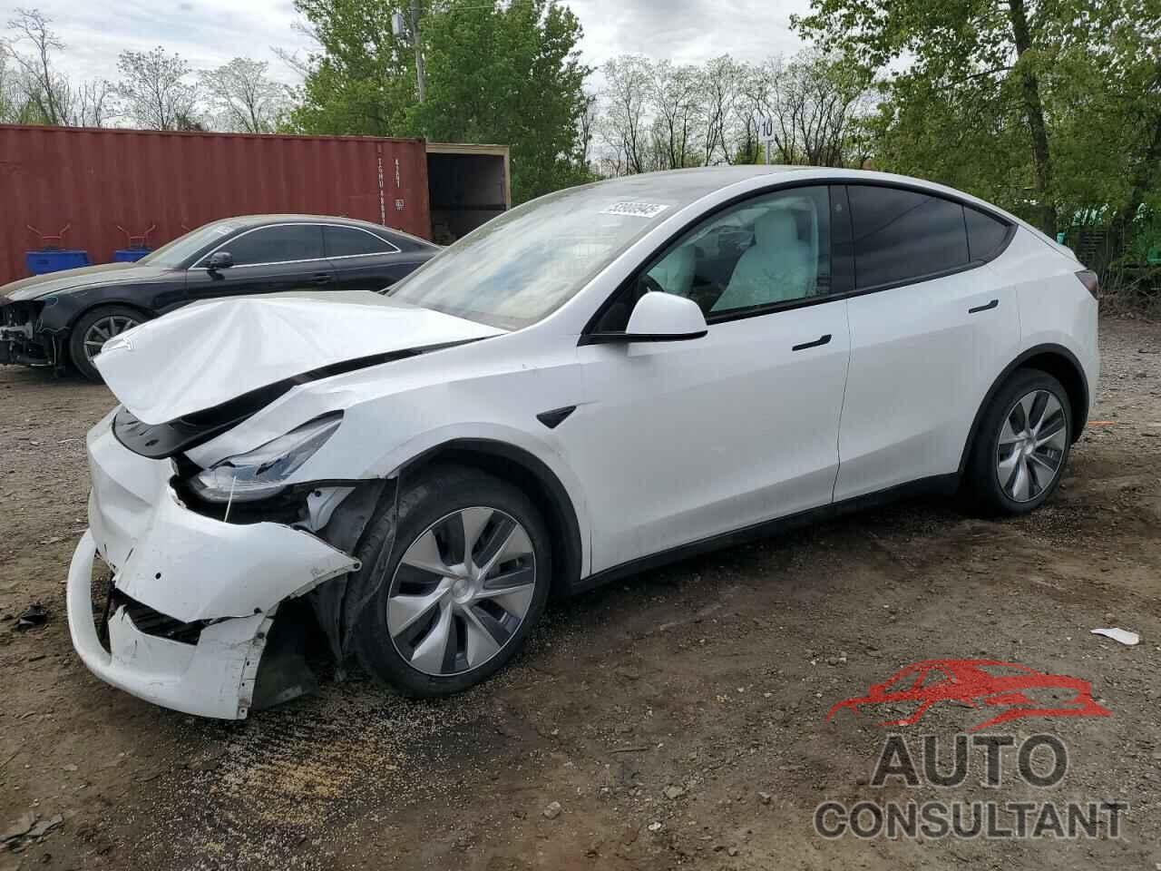 TESLA MODEL Y 2021 - 5YJYGDEE6MF198150