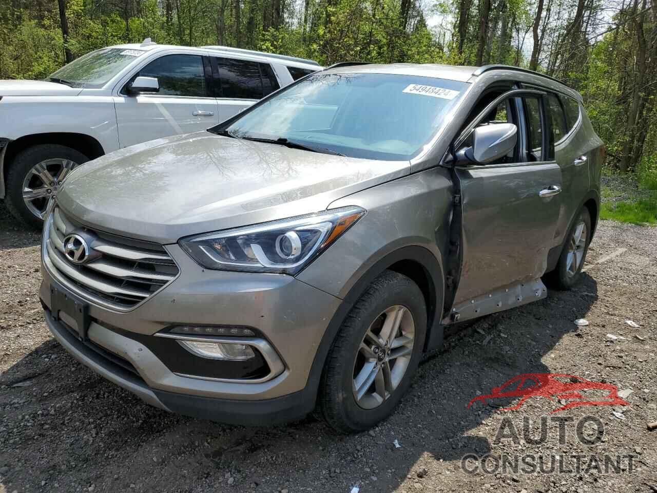 HYUNDAI SANTA FE 2017 - 5XYZUDLB1HG421781