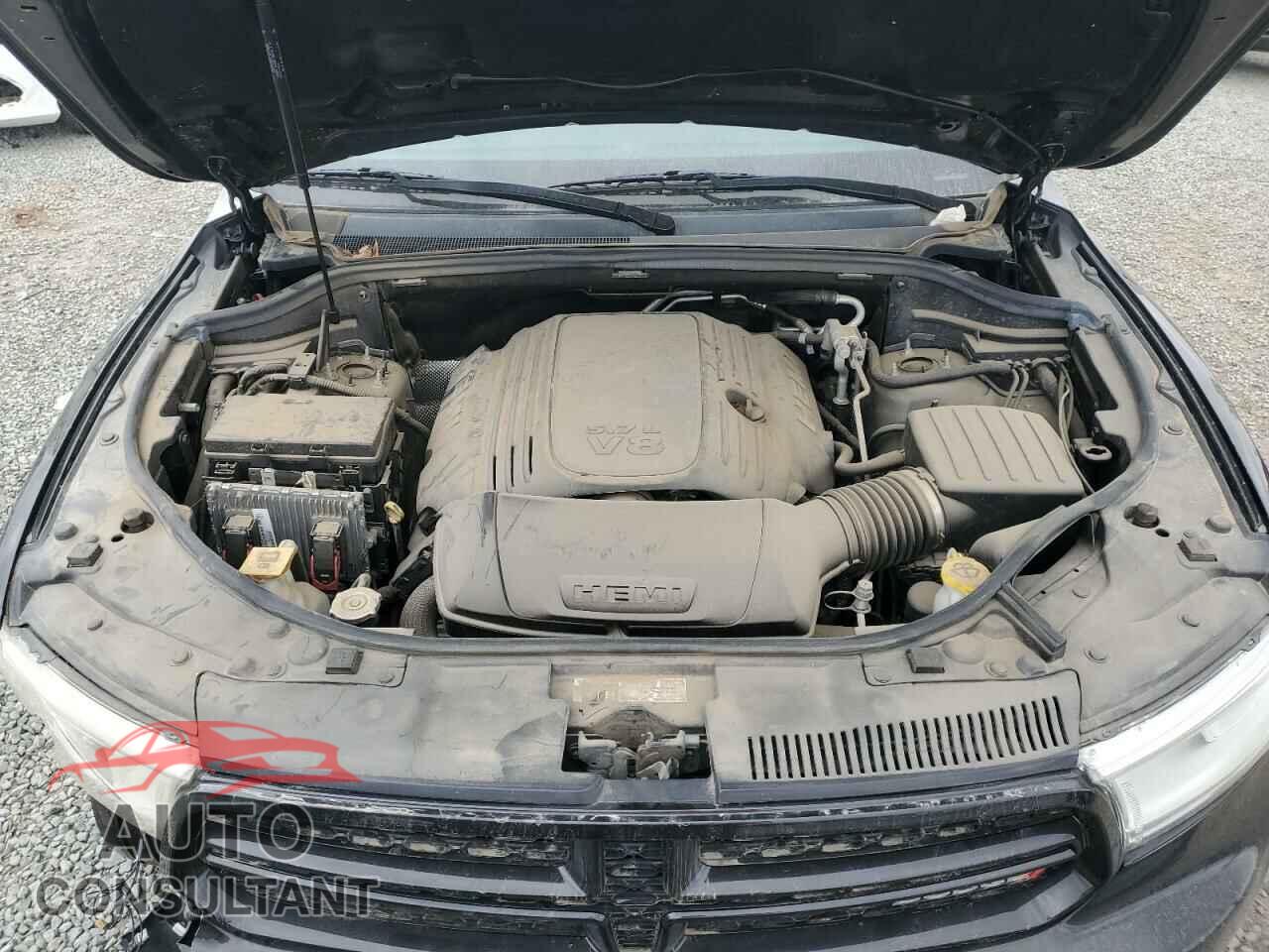 DODGE DURANGO 2019 - 1C4SDHFT5KC556917