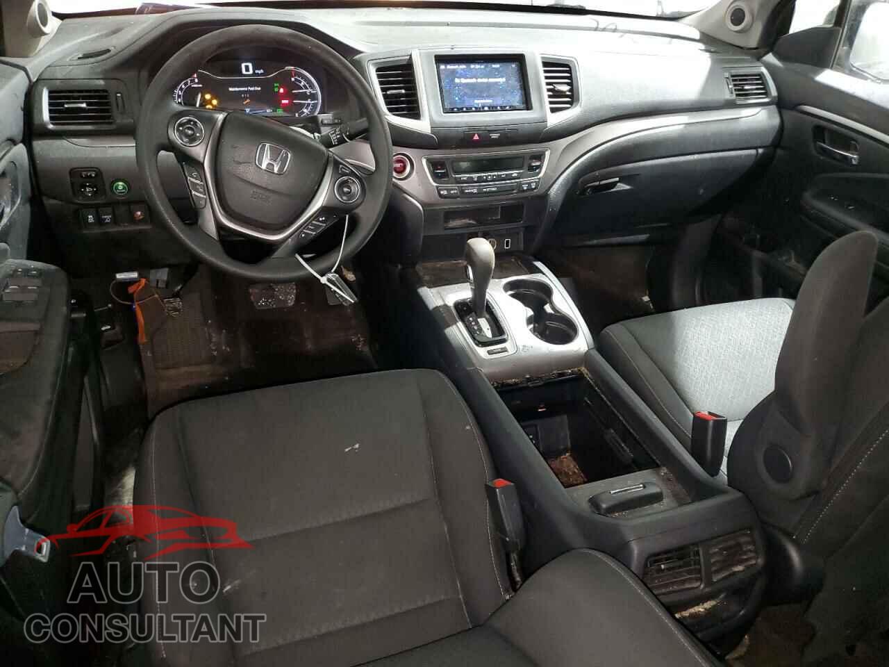 HONDA RIDGELINE 2019 - 5FPYK2F16KB008205