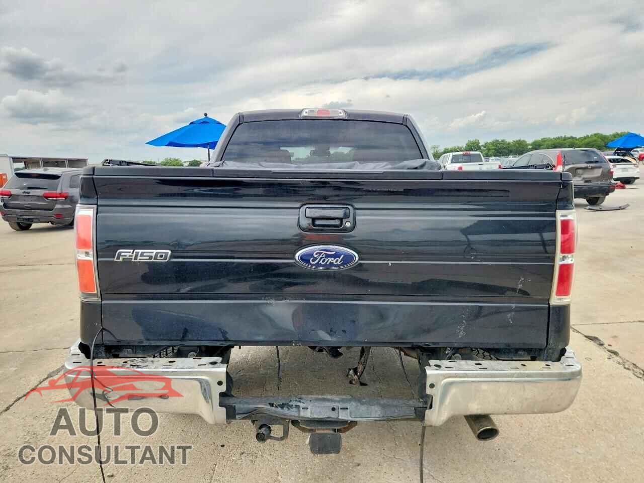 FORD All Models 2010 - 1FTEW1C83AFD17829