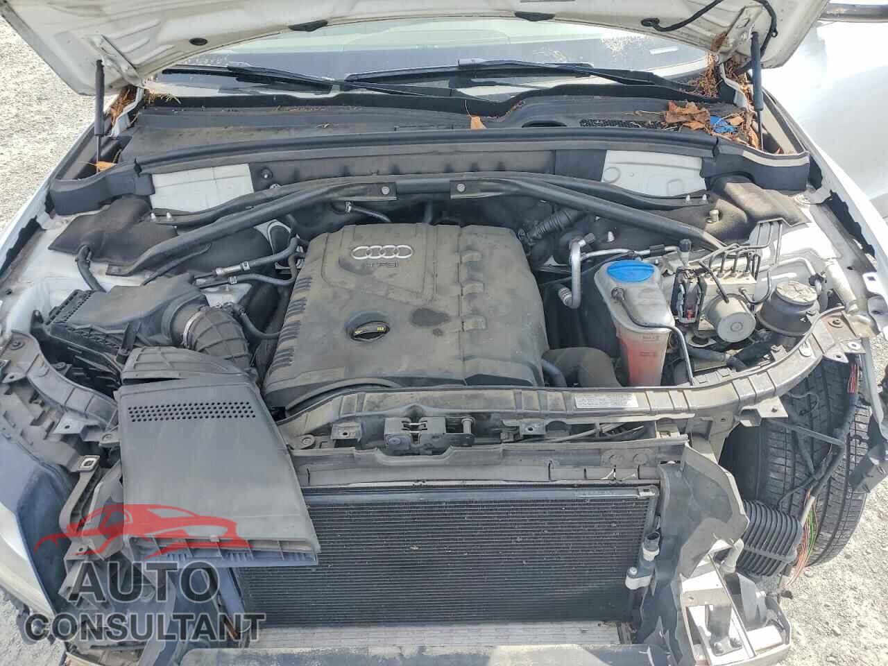 AUDI Q5 2011 - WA1CFAFP8BA089703