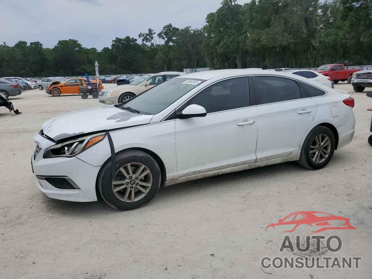 HYUNDAI SONATA 2017 - 5NPE24AF5HH521336