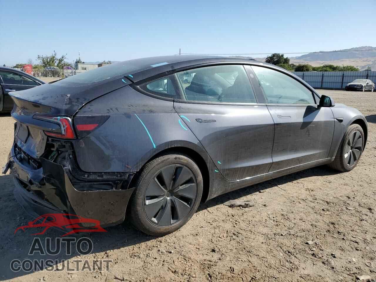 TESLA MODEL 3 2024 - 5YJ3E1EA8RF824803