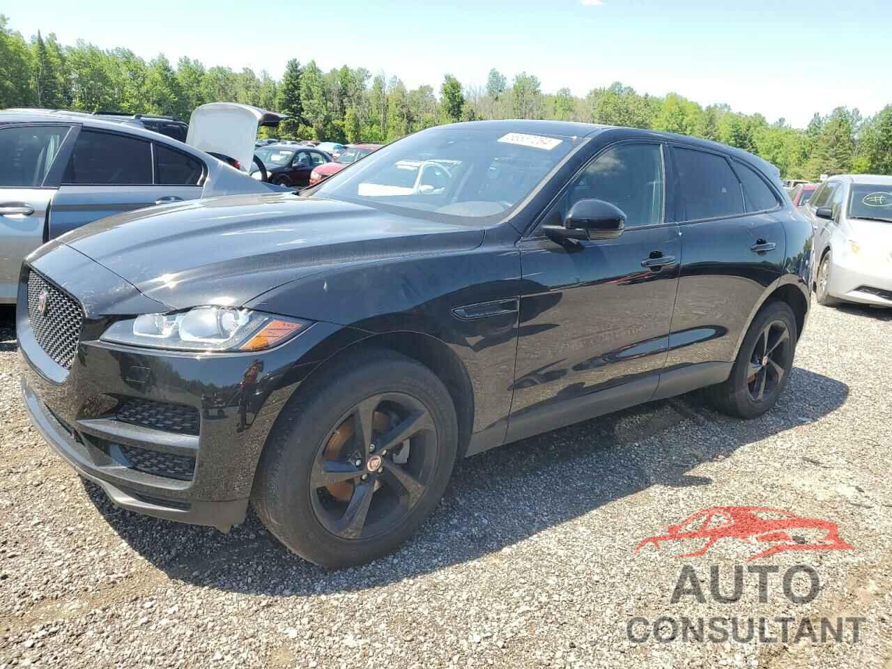 JAGUAR F-PACE 2020 - SADCK2FX3LA651102