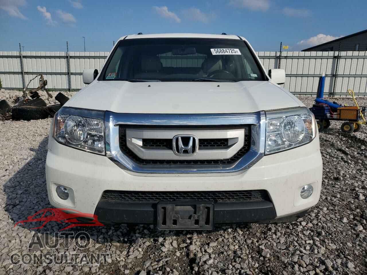 HONDA PILOT 2011 - 5FNYF4H55BB057839