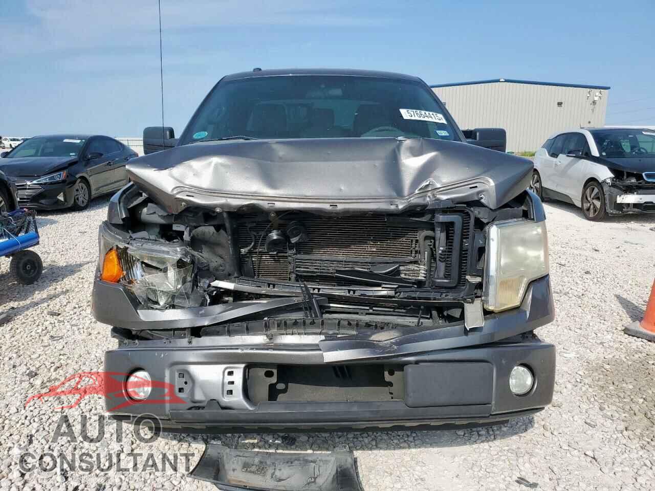 FORD F-150 2013 - 1FTEX1CM2DFD81939