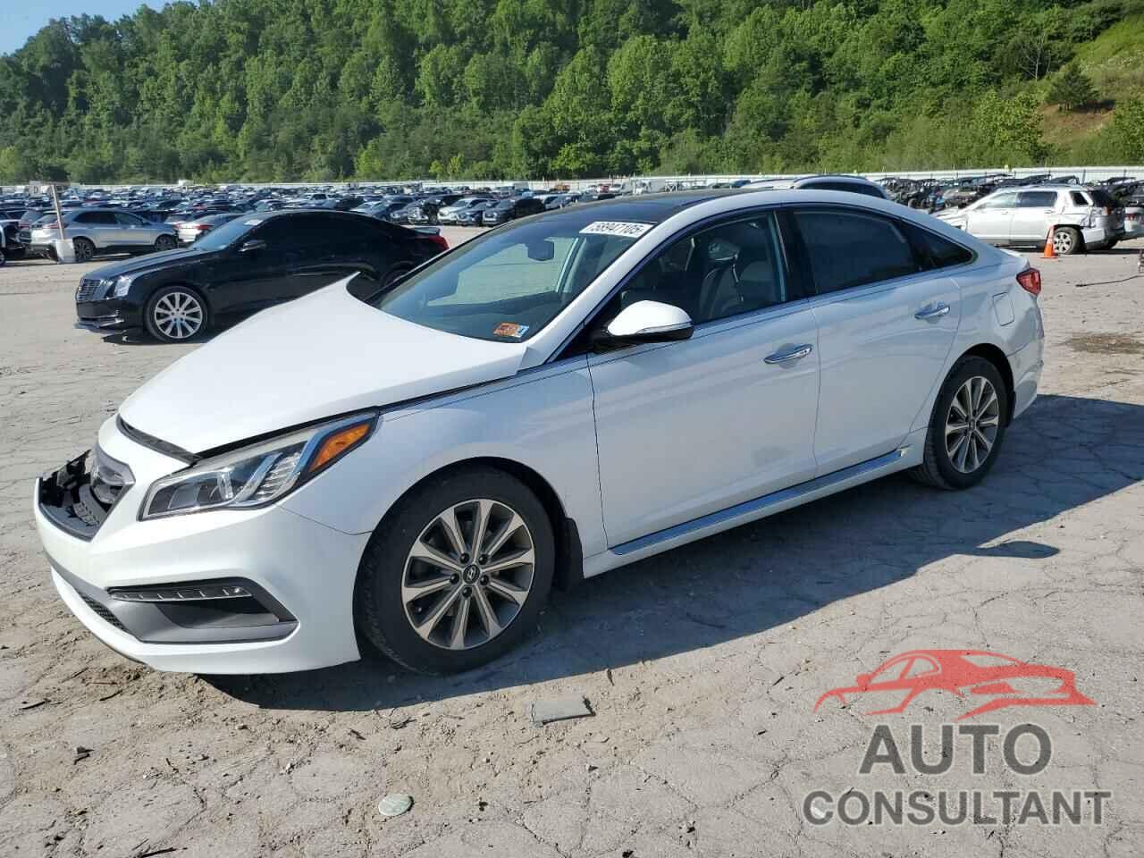 HYUNDAI SONATA 2016 - 5NPE34AF7GH326379
