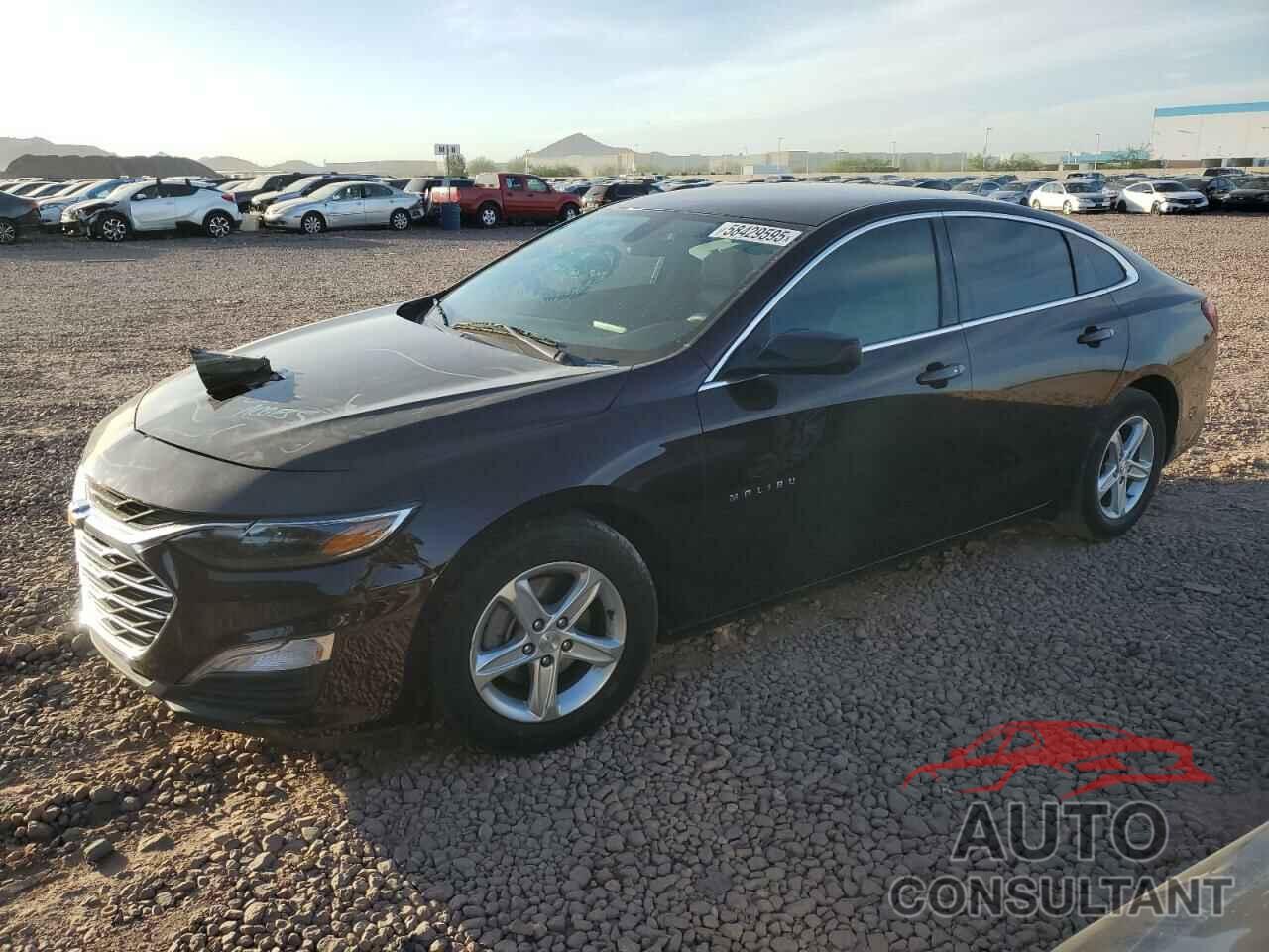 CHEVROLET MALIBU 2021 - 1G1ZB5STXMF058215
