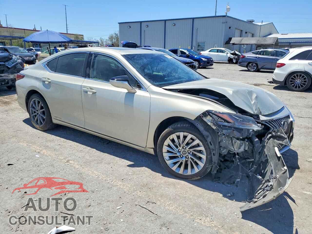 LEXUS ES300 2019 - JTHB21B10K2045668