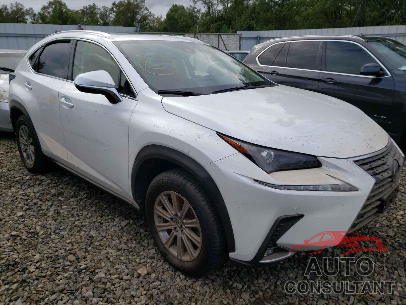 LEXUS NX 2021 - JTJDARDZXM5019477