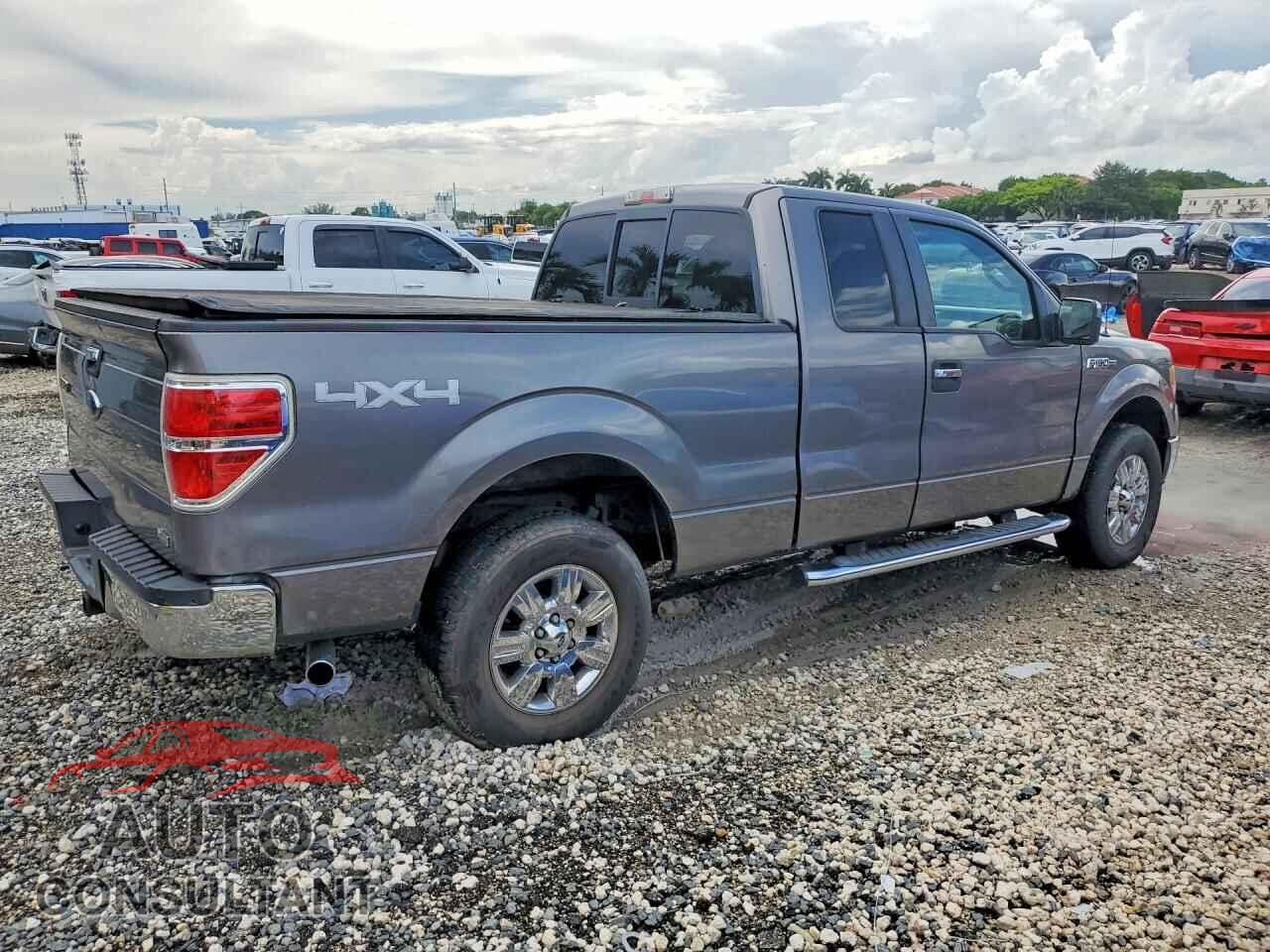 FORD F150 2010 - 1FTFX1EV7AFD30989
