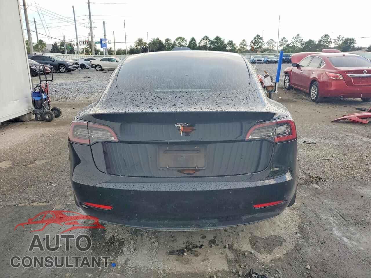 TESLA MODEL 3 2019 - 5YJ3E1EA3KF434875